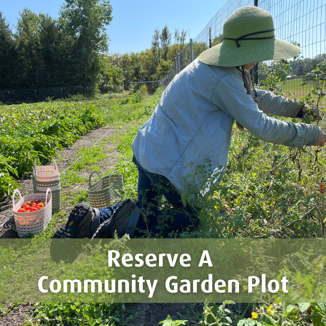 Text: Reserve A Community Garden Plot 