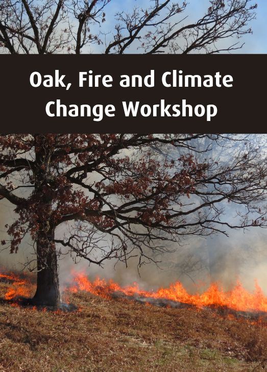 Tree surrounded by fire and smoke from a controlled burn Text: Oak Fire and Climate Change Workshop