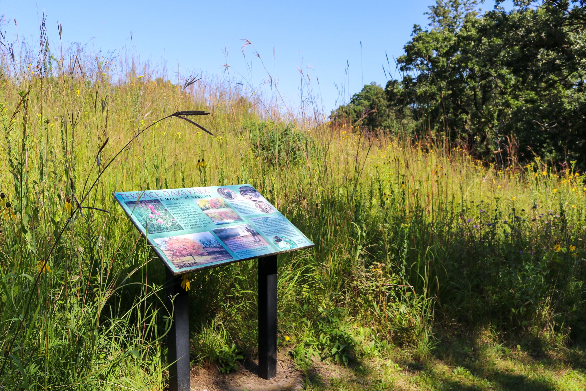 Terrace Oaks West prairie with "A Mosaic of Habitats" informational sign