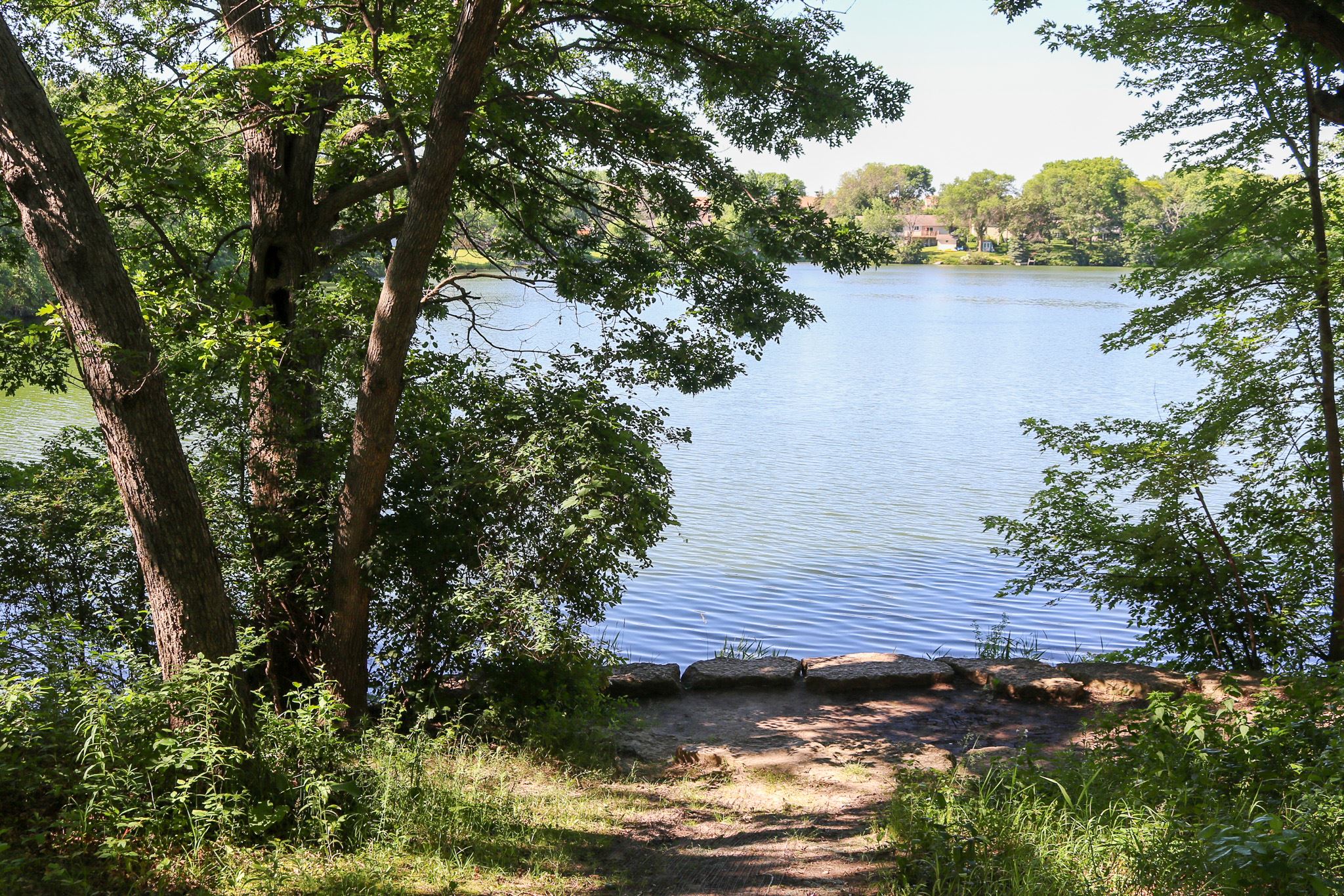 Wood Park water view peaking through the trees