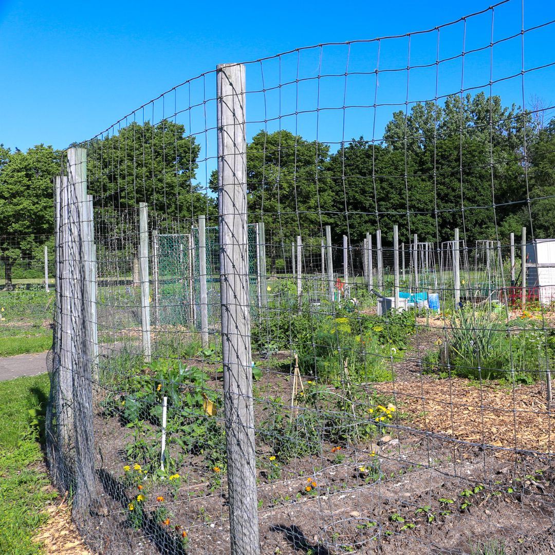 Community Garden - Wolk