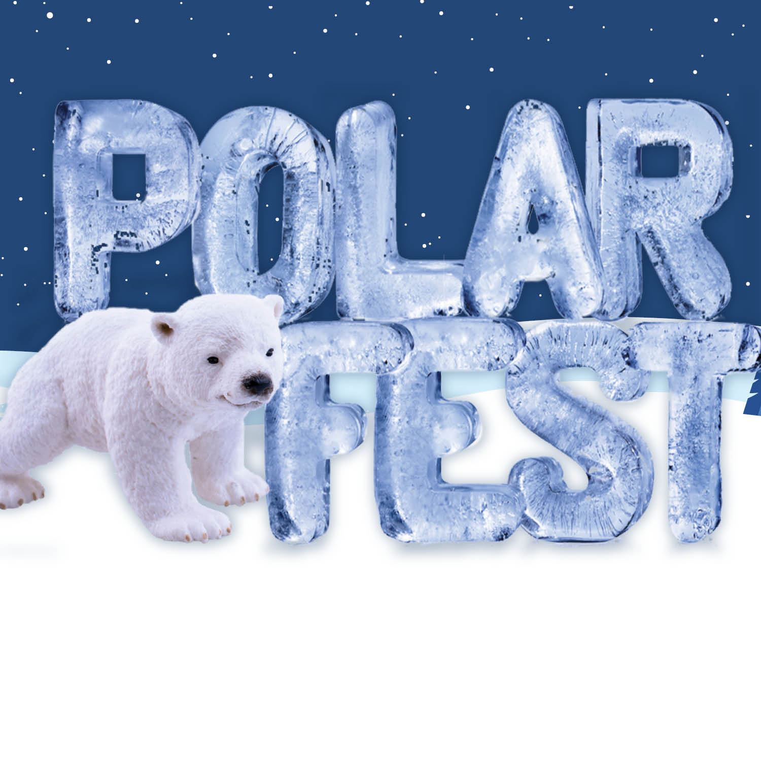 2025 polar fest