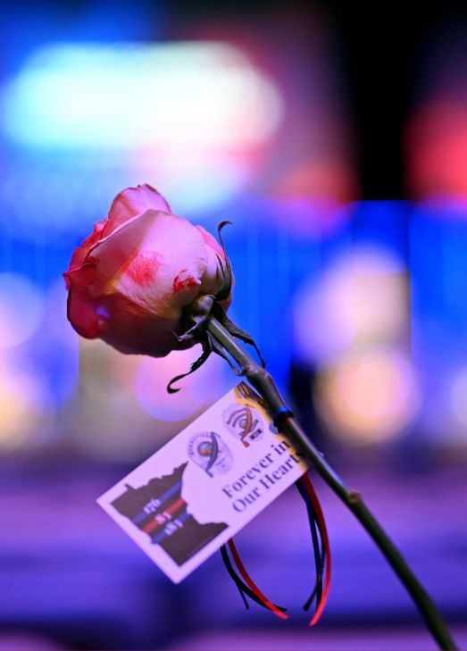 Honor the fallen Rose